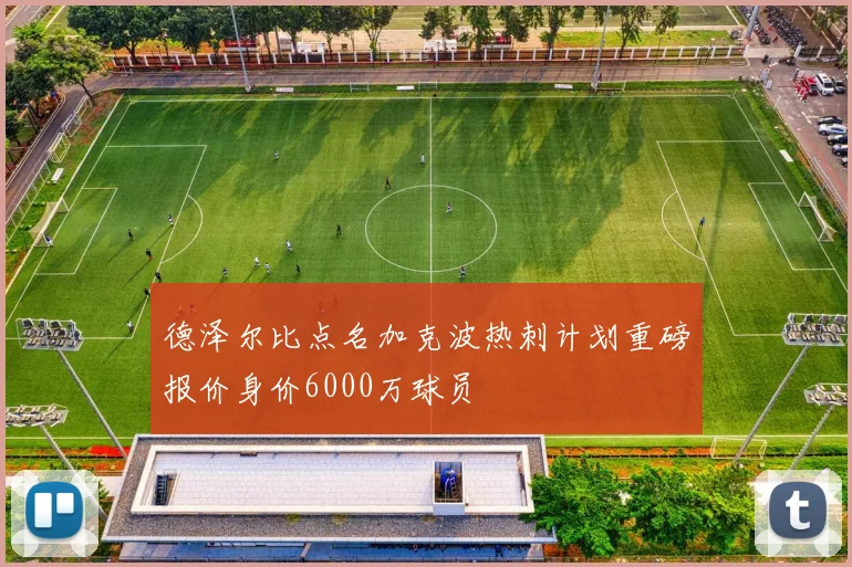 德泽尔比点名加克波热刺计划重磅报价身价6000万球员
