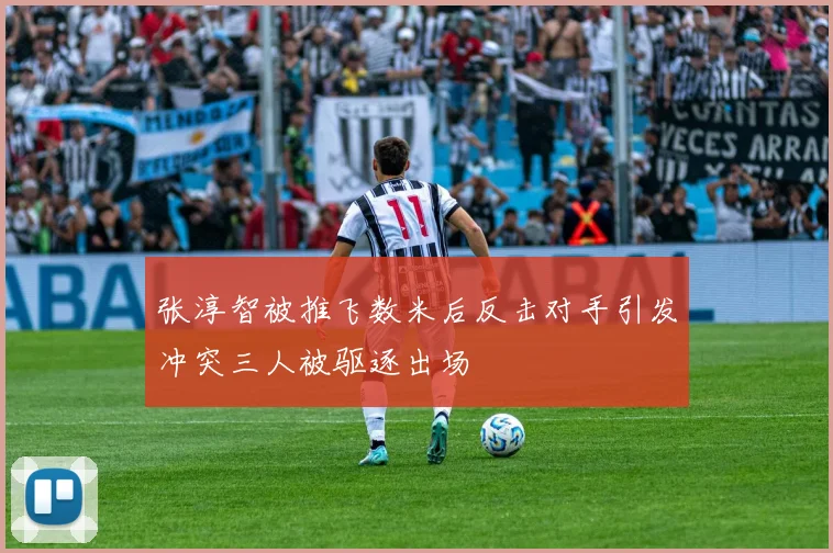 张淳智被推飞数米后反击对手引发冲突三人被驱逐出场
